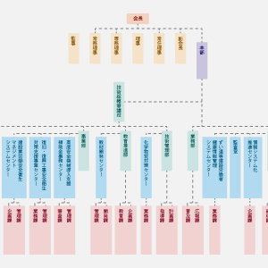 組織イメージ写真